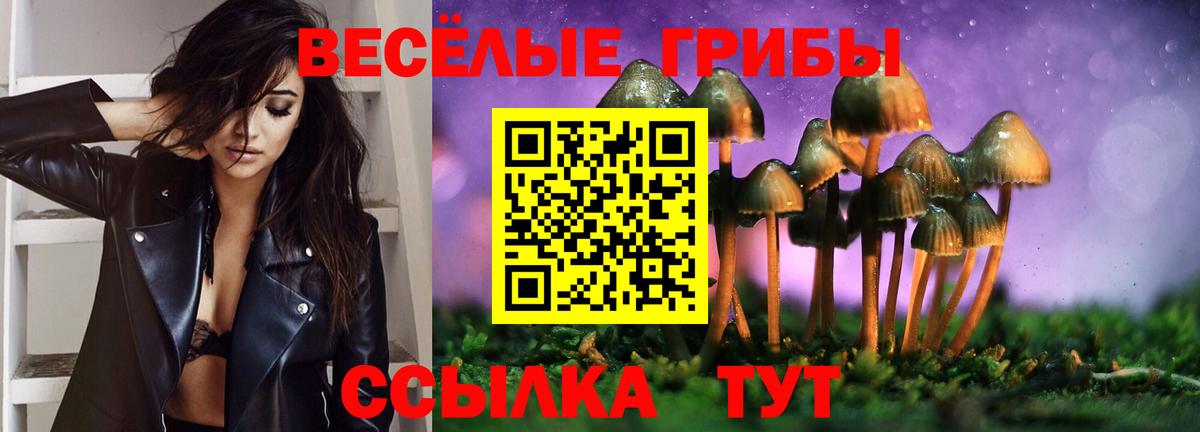 Владикавказ  Псилоцибиновые грибы GOLDEN TEACHER  Галлюциногенные грибы ЛСД  Вход с VPN 